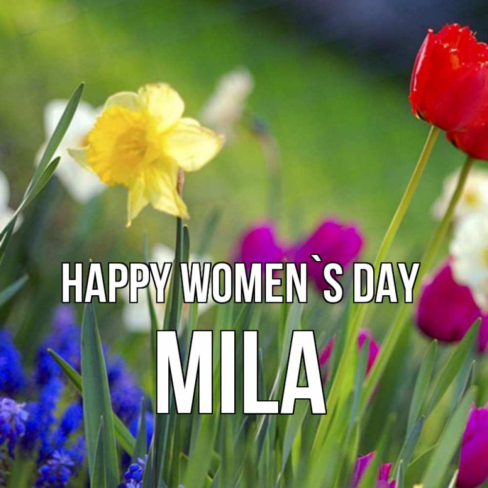 Greetings card с именем, Mila happy women`s day международный женский день 3 Greetings with text for free download 